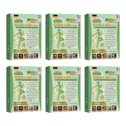 🎯Solaroza® Moringa & Berberin 10-in-1 Nano-Mikronadel-Pflaster