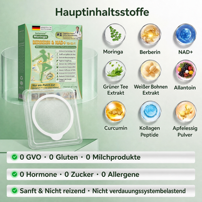 🎯Solaroza® Moringa & Berberin 10-in-1 Nano-Mikronadel-Pflaster